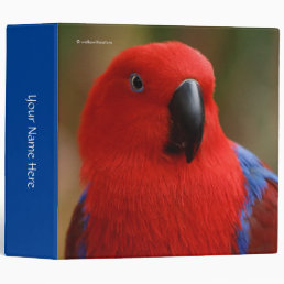 Beautiful &quot;Lady in Red&quot; Eclectus Parrot Binder