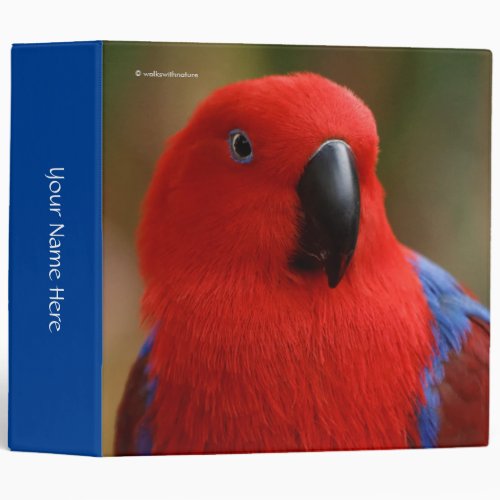 Beautiful Lady in Red Eclectus Parrot Binder