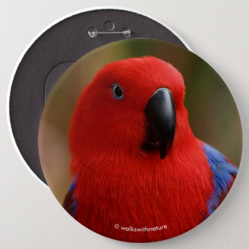 Beautiful Lady in Red Eclectus Parrot Button