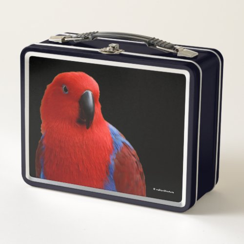 Beautiful Lady in Red Eclectus Parrot Metal Lunch Box