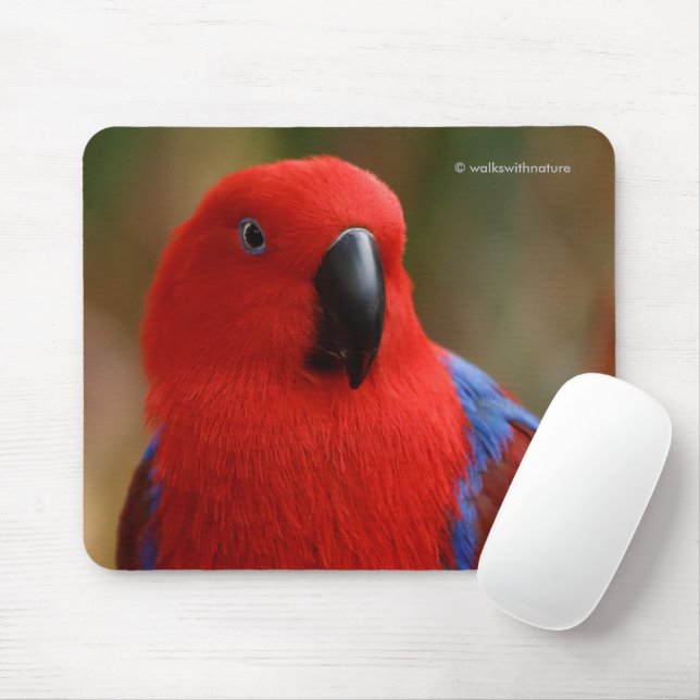Beautiful "Lady in Red" Eclectus Parrot Mouse Pad (With Mouse)