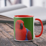 Beautiful &quot;lady In Red&quot; Eclectus Parrot Mug at Zazzle