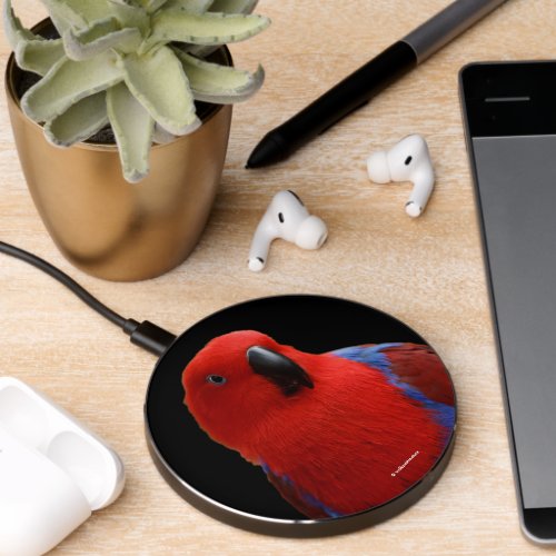 Beautiful Lady in Red Eclectus Parrot Wireless Charger