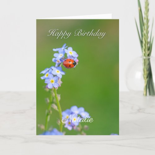 Beautiful Ladybug Birthday Card