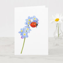 Beautiful Ladybug Drawing  Folded Greeting Card