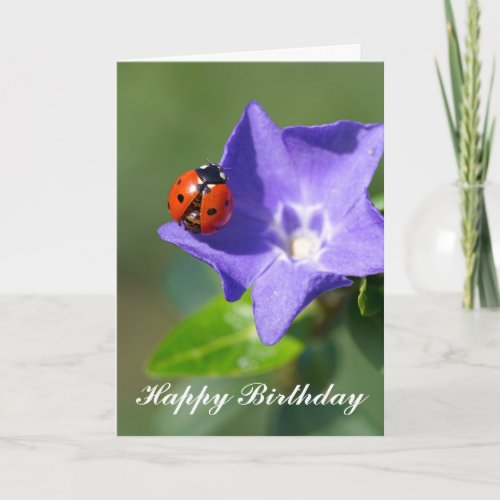 Beautiful Ladybug on Periwinkle Birthday Card