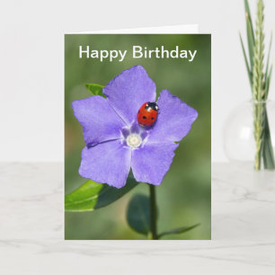 Beautiful Ladybug on Periwinkle Birthday Card