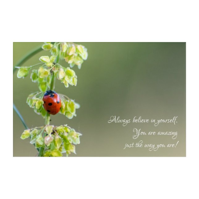 Beautiful ladybug with motivational quote acrylic print (Front)