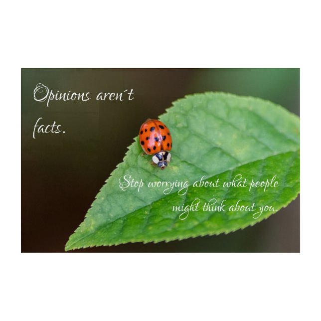 Beautiful ladybug with motivational quote acrylic print (Front)