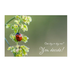 Beautiful ladybug with motivational quote acrylic print