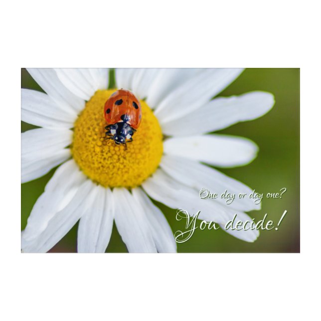 Beautiful ladybug with motivational quote acrylic print (Front)