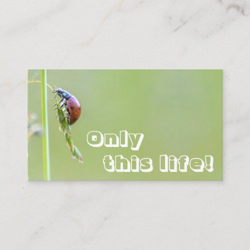 Beautiful ladybug with motivational quote business card