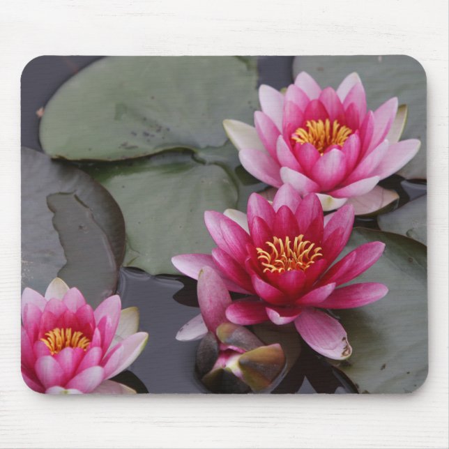 Beautiful lake flowers on mause pad mouse pad (Front)