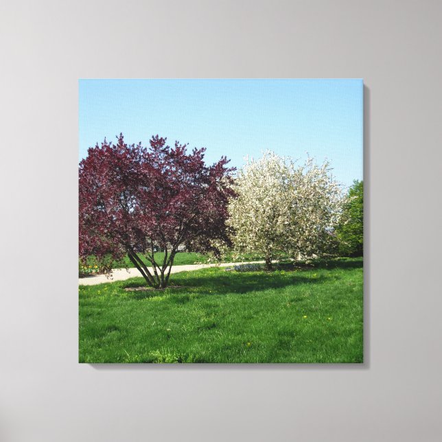 Beautiful Landscape and Trees Canvas Print (Front)