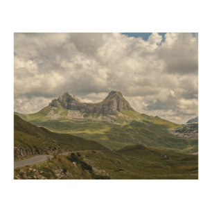 Beautiful landscape in Montenegro with fresh grass Wood Wall Art