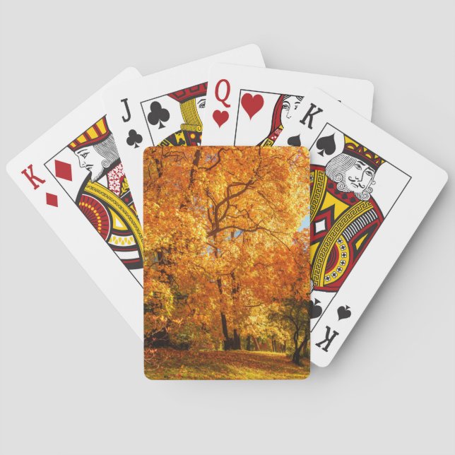 Beautiful Landscape  Poker Cards (Back)