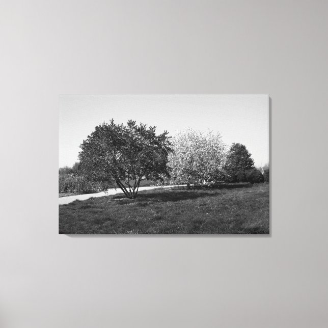 Beautiful Landscape with Trees in Black and White Canvas Print (Front)