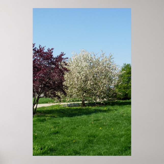 Beautiful Landscape with Trees Poster (Front)