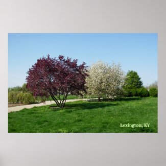 Beautiful Landscape with Trees