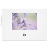 Beautiful Lavender Fields Blank Card (Back Horizontal)