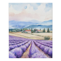 Beautiful lavender fields