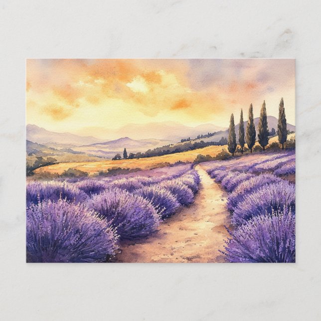 Beautiful lavender fields holiday postcard (Front)