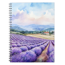 Beautiful lavender fields