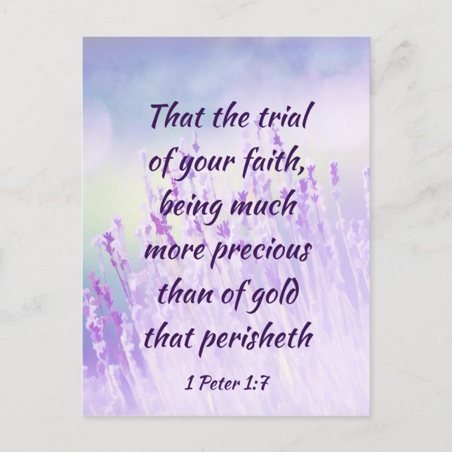 Beautiful Lavender Flower Field Bible Scripture Postcard (Front)