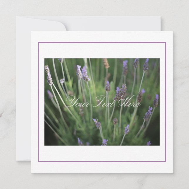 Beautiful Lavender Flowers Your Text Flat Card (Front)