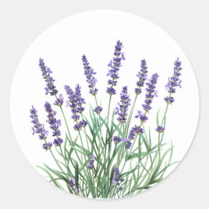 Beautiful Lavender Garden Flower Floral Classic Round Sticker