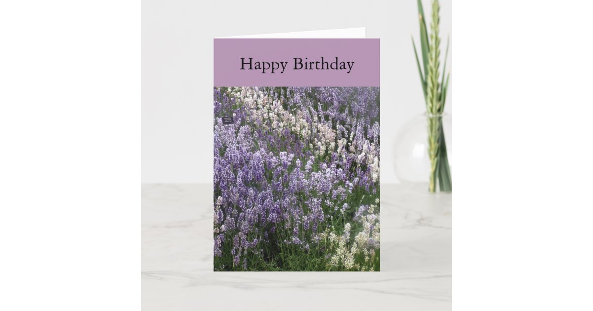 Beautiful Lavender Happy Birthday Card | Zazzle.com
