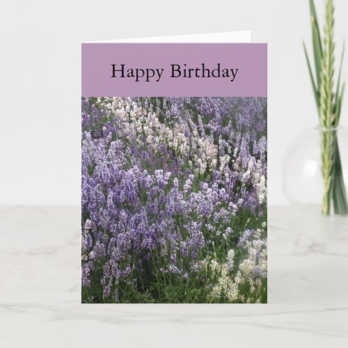 Beautiful Lavender Happy Birthday Card