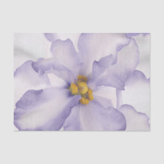 Beautiful Lavender Orchid Tissue Paper