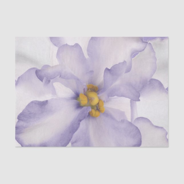 Beautiful Lavender Orchid Tissue Paper (Front)