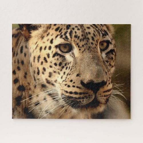 Beautiful Leopard Portrait Jigsaw Puzzle