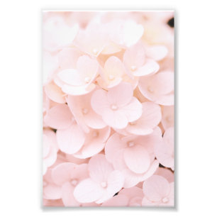 Beautiful Light Pink Flower Petals Floral Poster