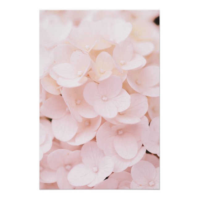 Beautiful Light Pink Flower Petals Floral Poster (Front)