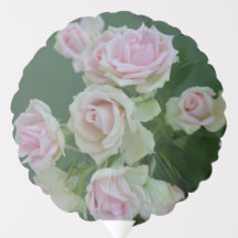 Beautiful light pink garden roses