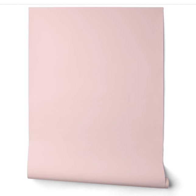 beautiful light pink solid color /pattern wallpaper  (Unrolling)