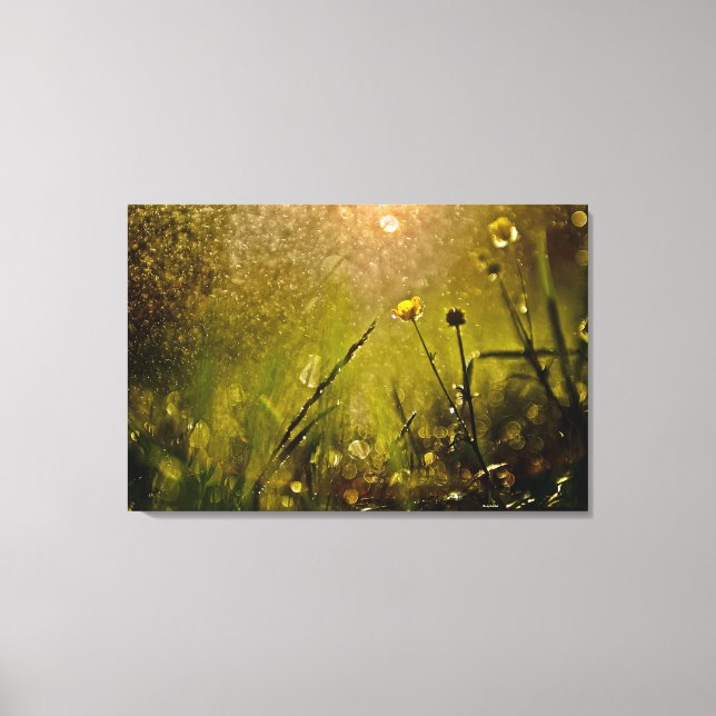 Beautiful Lighting Misty Rain Small Flowers Canvas Print (Front)