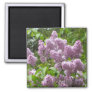 Beautiful Lilac Bush- Magnet