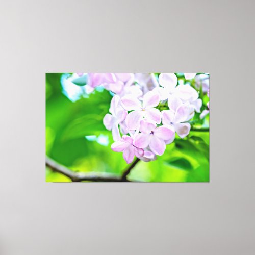 Beautiful Lilac Flowers Canvas Print
