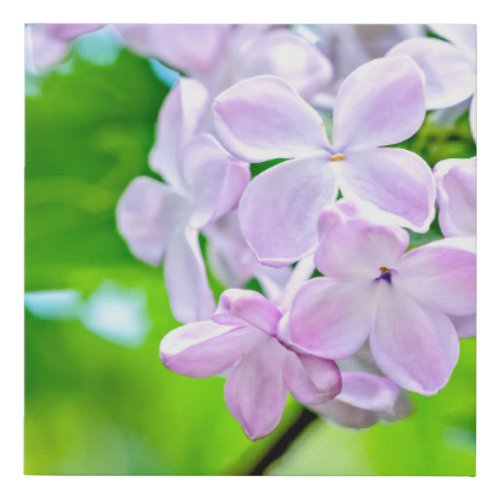 Beautiful Lilac Flowers Faux Canvas Print