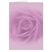 Beautiful Lilac Rose (Front)