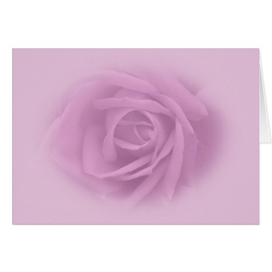 Beautiful Lilac Rose (Front Horizontal)