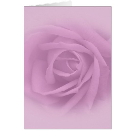 Beautiful Lilac Rose Cards (Front)