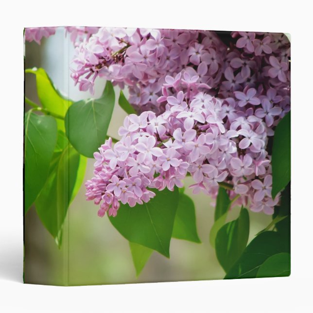 Beautiful Lilacs 1.5" Photo Album 3 Ring Binder (Front/Spine)