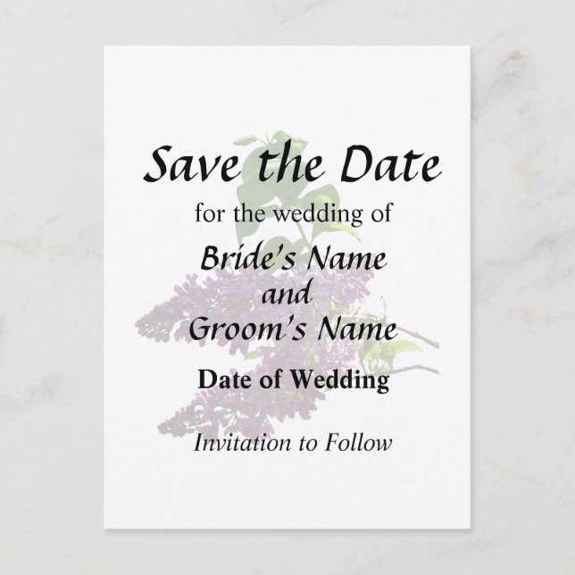 Beautiful Lilacs Announcement Postcard (Front)