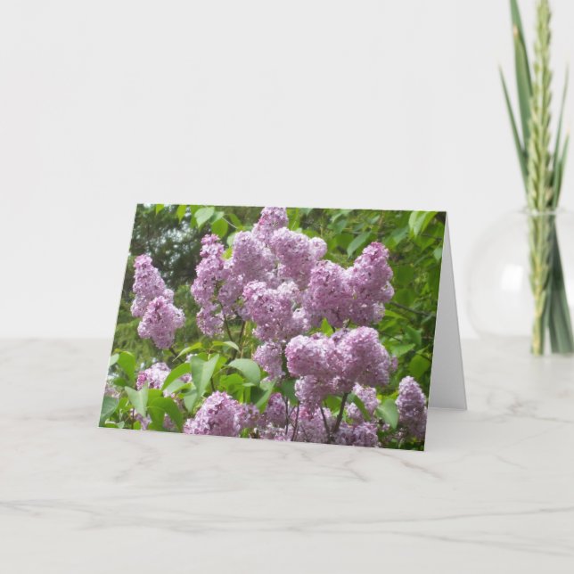 Beautiful Lilacs Blank Note Card-Floral Photograph Card (Front)