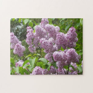 Beautiful Lilacs -Floral Photograph  Jigsaw Puzzle